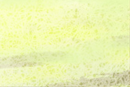 风水学