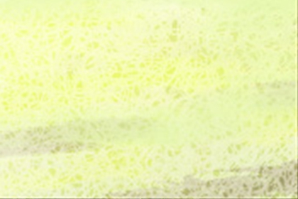 风水学