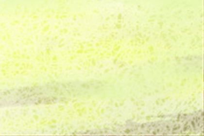 风水学
