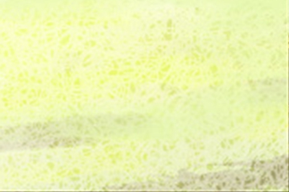 风水学