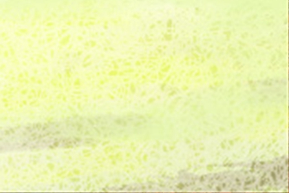 风水学