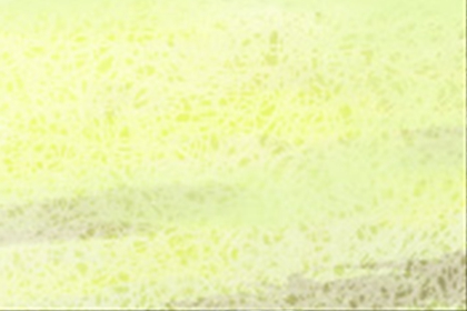 风水学