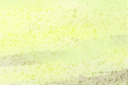 风水学