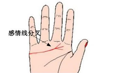 相术