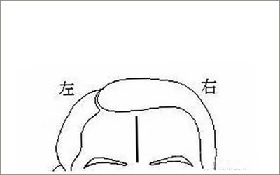 悬针纹