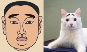 八字眉的男人 八字眉的女人 眉毛看相图解 八字网