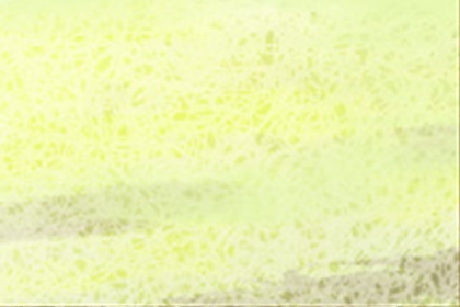 风水学