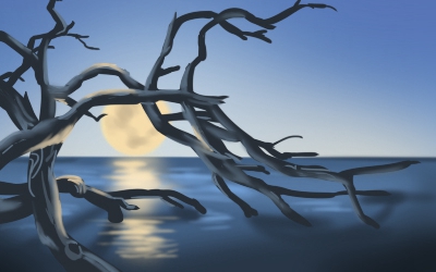 心理测试