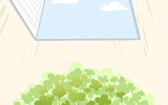 风水学