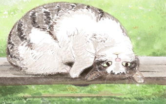 风水学