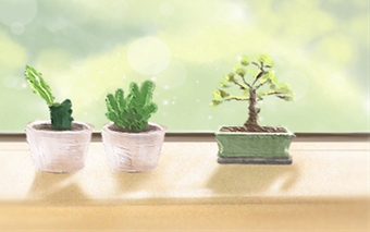 生肖分析
