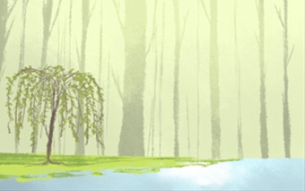 风水学
