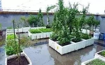 风水学