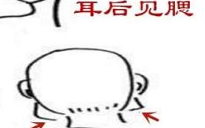 耳后见腮