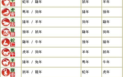 生肖相冲7