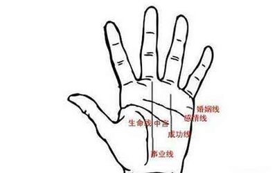 事业线图解_事业线分叉_没有事业线的女孩子-八字网