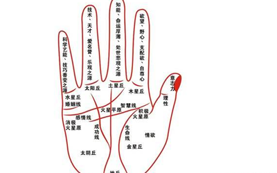 财运线