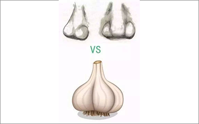 蒜头鼻