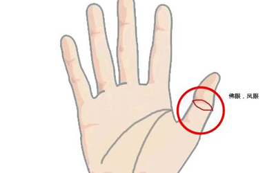 位于大拇指前关节处眼状指节纹则称为孔子目纹.