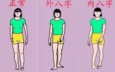 外八腿