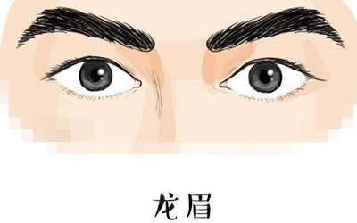 龙眉