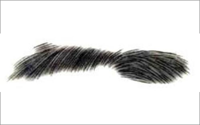 命理知识 相术    男人另一种大贵眉相:狮子眉     此类眉的特点:眉毛