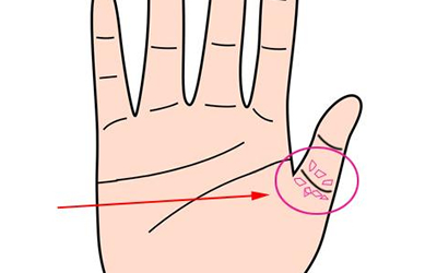 解析大拇指财富纹的手相