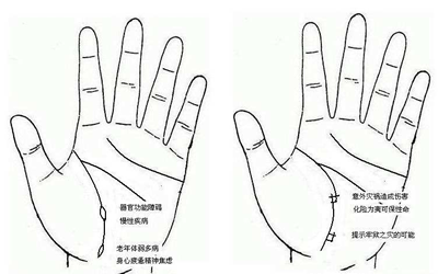 男人生命线的十大说法 八字网