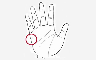 婚姻线短说明了什么 八字网