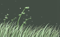 星14