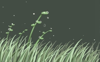 星9