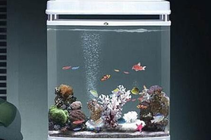 风水学