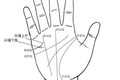 男人的婚姻线是看左手还是看右手 八字网