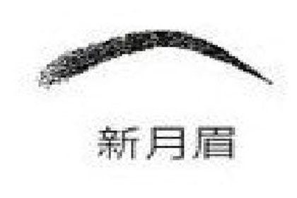柳叶眉