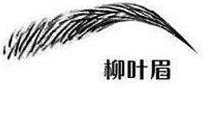 柳叶眉