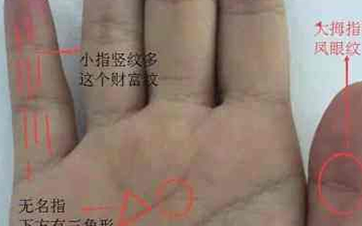 财富纹