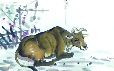 生肖牛