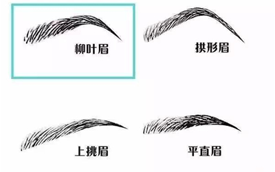 柳叶眉