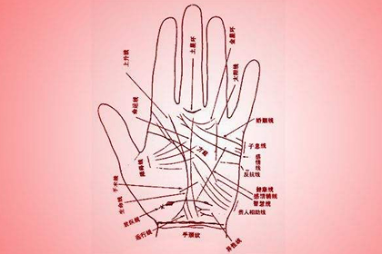 关于我们手掌纹路智慧线的解释