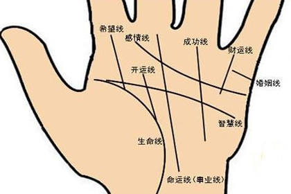 命运线