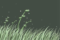 风水学