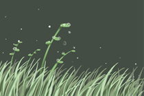 女人使用什么方法可以勾引到属猴男 八字网 女人使用什么方法可以勾引到属猴男 八字网