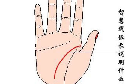 女人手掌中智慧线很长代表着什么