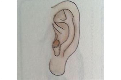相术学