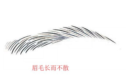 相术