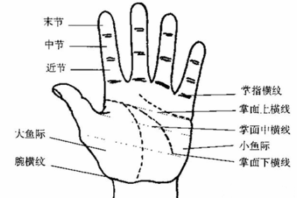 相术