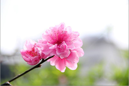 相术