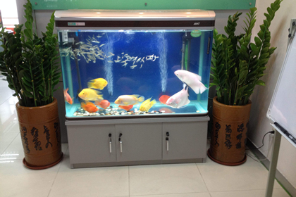 风水