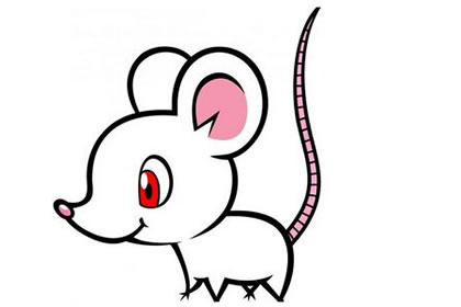 生肖鼠