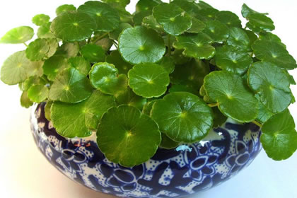 风水学